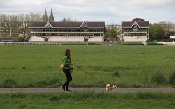 Humpback Whale's Rescue Mission Approved