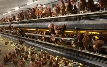 Louis Marty's Sensory Revolution: Redefining Hygiene with Fragrance