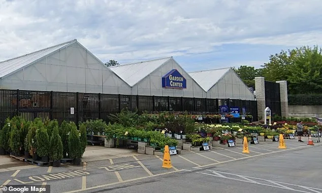 Lowe's Employees Rescue Kittens from Shelf