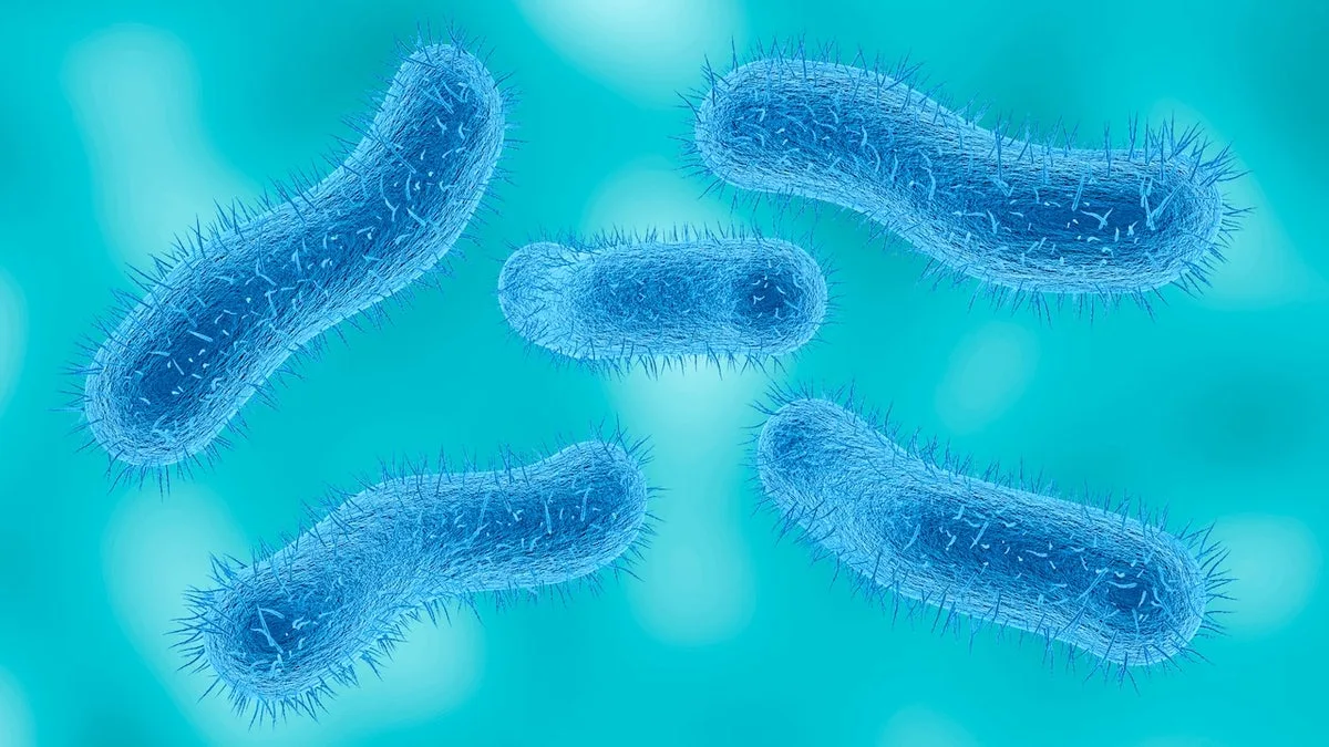 Shigella Infections Resist Treatment in US: Public Health Alert