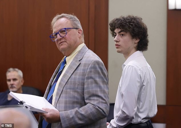 Teen suspect in Nevada library attack plea deal avoids prison