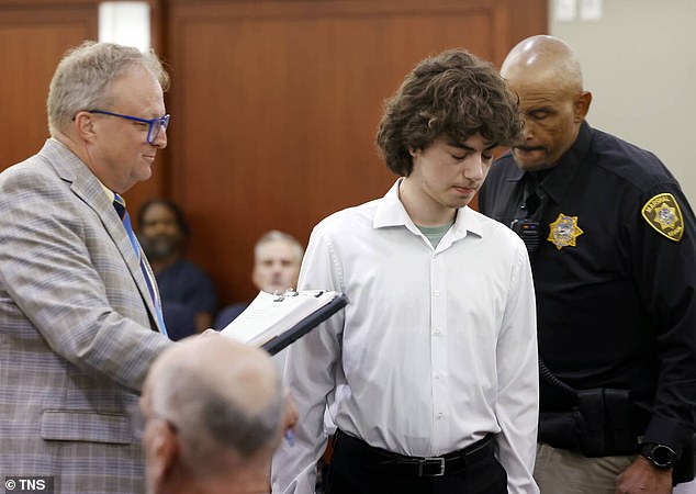 Teen suspect in Nevada library attack plea deal avoids prison