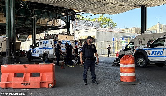 Seven men emerge from open manhole in Brooklyn street